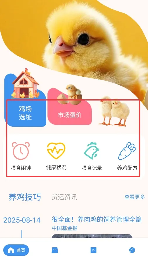养鸡宝安卓版手机版 养鸡宝安卓版手机版