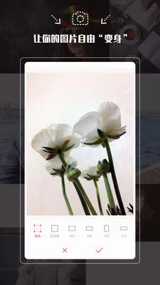 �������������ֻ���