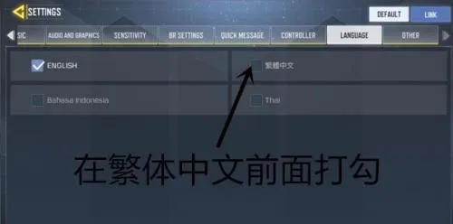 codm国际服最新手机版 codm国际服最新手机版