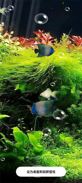ˮ��ݶ�̬��ֽ�������������ֻ���v5.3 ��׿���ͼ