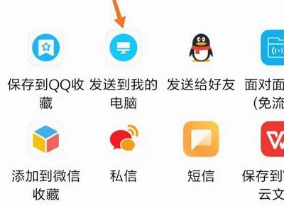 荔枝视频