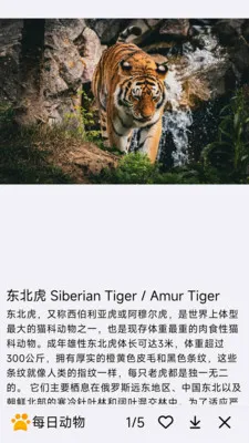 ÿ�ն���2026�ٷ����°汾v1.0.0 �ٷ������ͼ