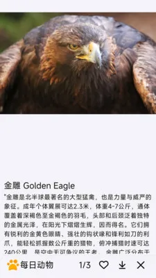 ÿ�ն���2026�ٷ����°汾v1.0.0 �ٷ������ͼ