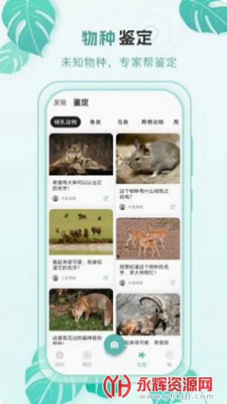 �ٿ�����(���ֿ���ʶ������)v2.0.4 �ֻ����ͼ