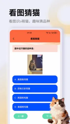 ����è��app�����ֻ���v1.3 �ٷ������ͼ