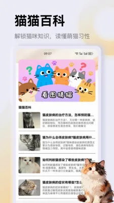 ����è��app�����ֻ���v1.3 �ٷ������ͼ