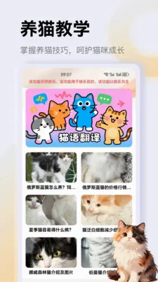 ����è��app�����ֻ���v1.3 �ٷ������ͼ