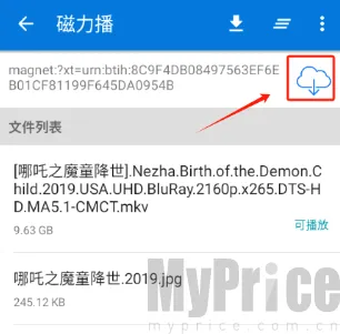 磁力播优化(磁力资源工具) 磁力播优化(磁力资源工具)