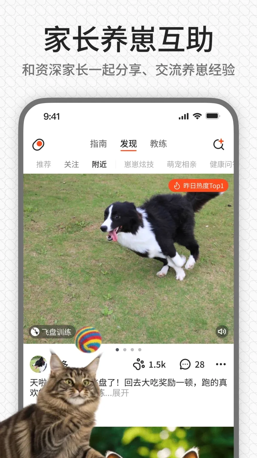 rua��(����ѵ��ƽ̨)v1.0.1 �ٷ������ͼ