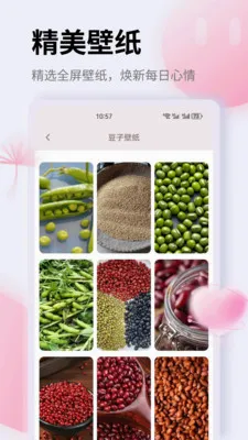 K��2026���°汾v1.0.0 ��׿���ͼ
