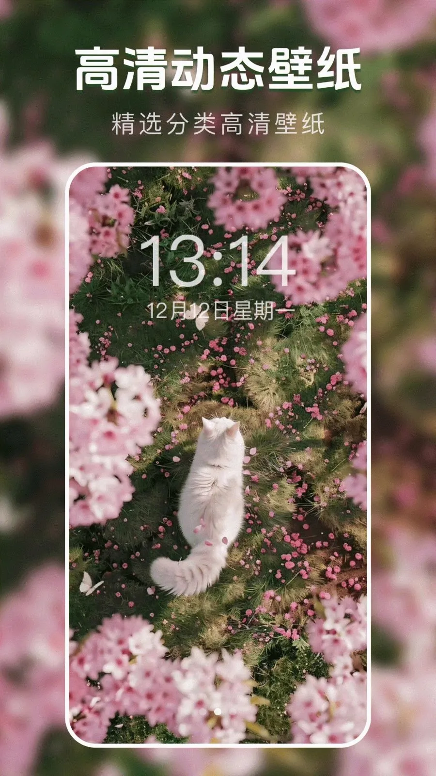 ��̬�����ֽ����׿���ֻ���v1.0.0 ��׿���ͼ