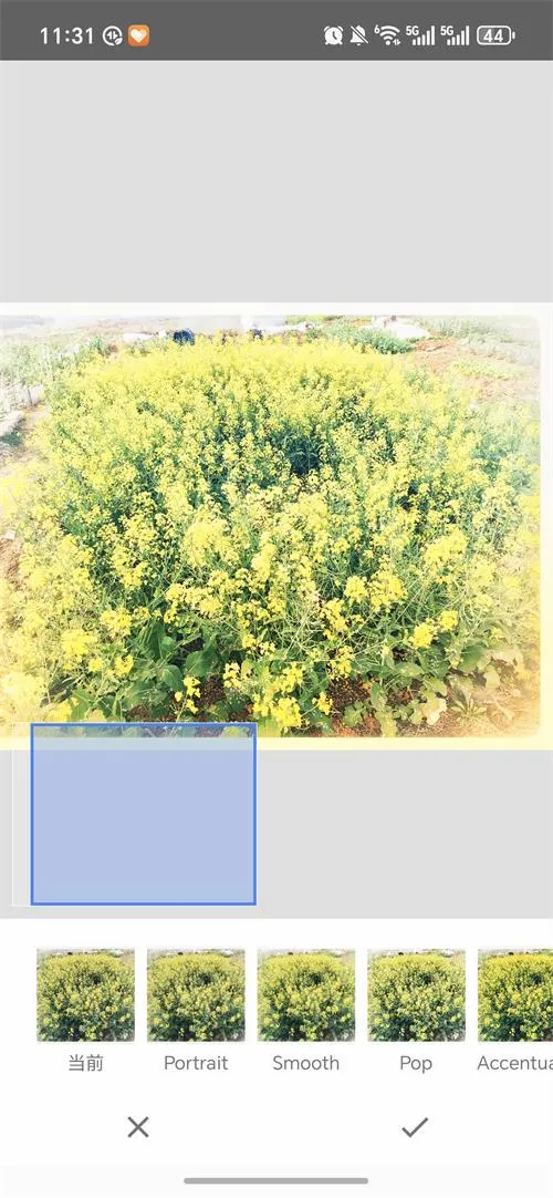 BetterSeed2026���°汾v2.22.0.633363672 ��Ѱ��ͼ