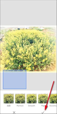 BetterSeed2026最新版本 BetterSeed2026最新版本