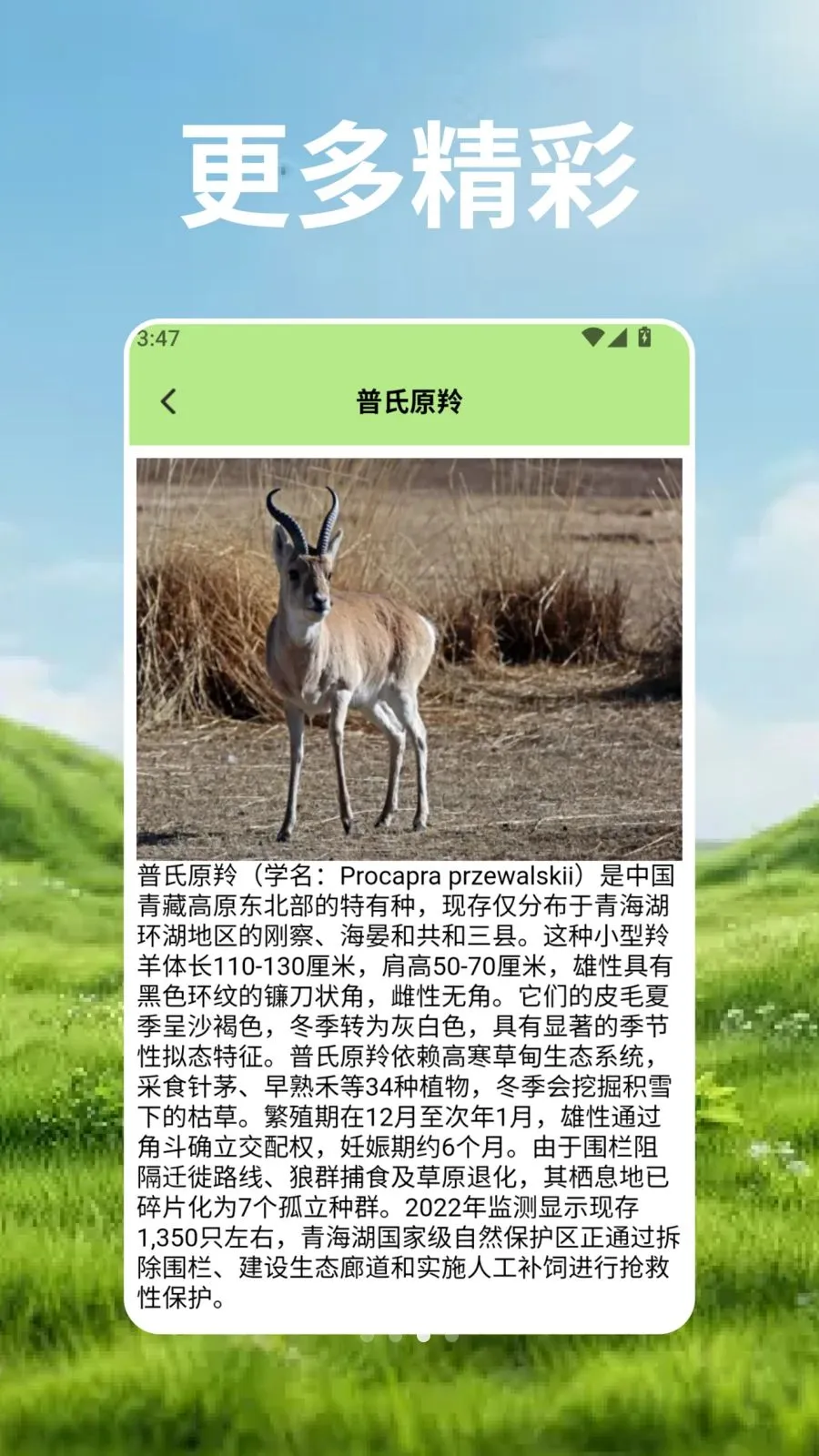 ��Ⱥ�Ŀ�ѧ��2026���°汾v2.3 ��Ѱ��ͼ