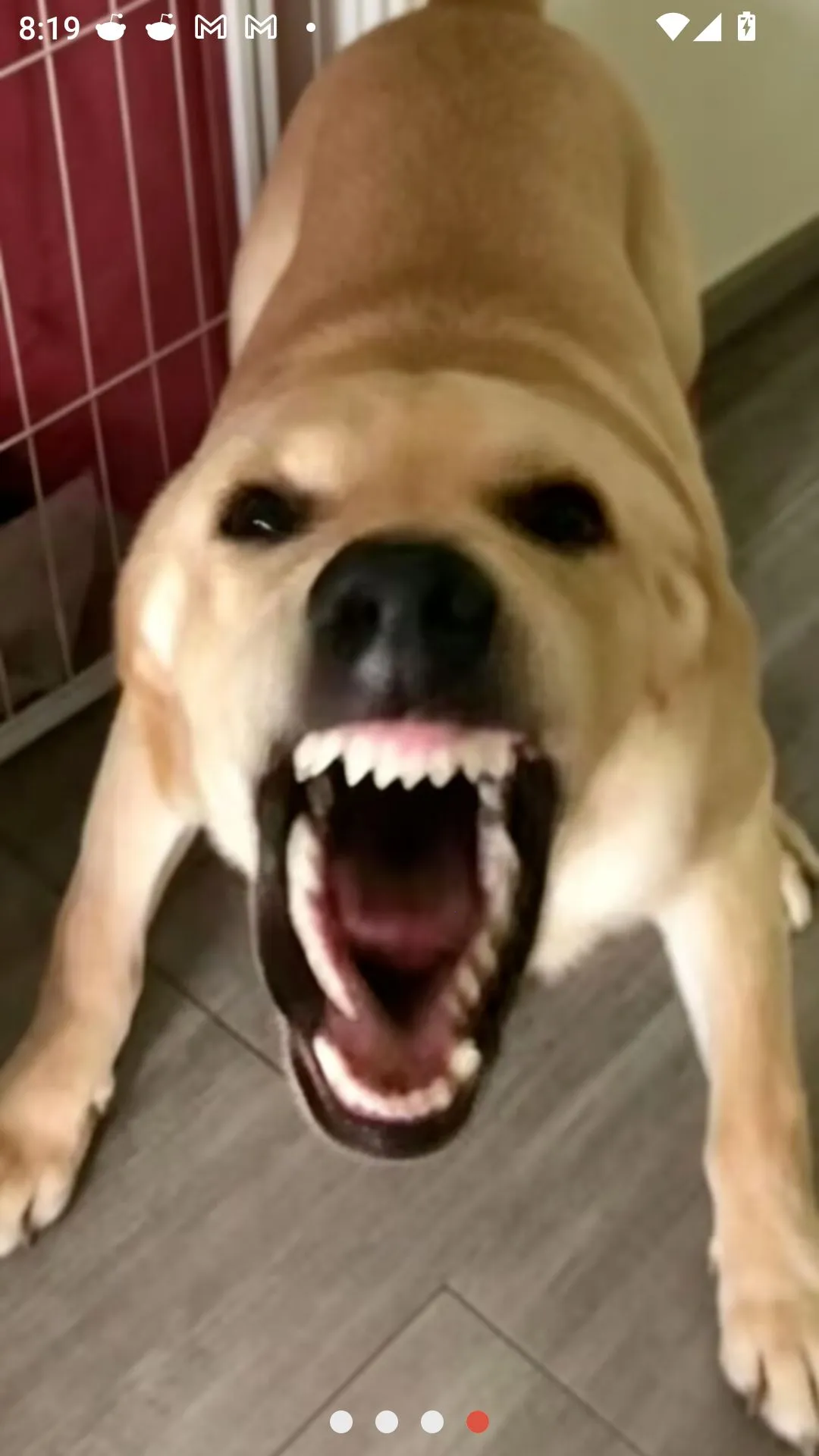 �󹷽���Ϸ������ư�(������ģ����Ϸ)v1.1 �ٷ������ͼ