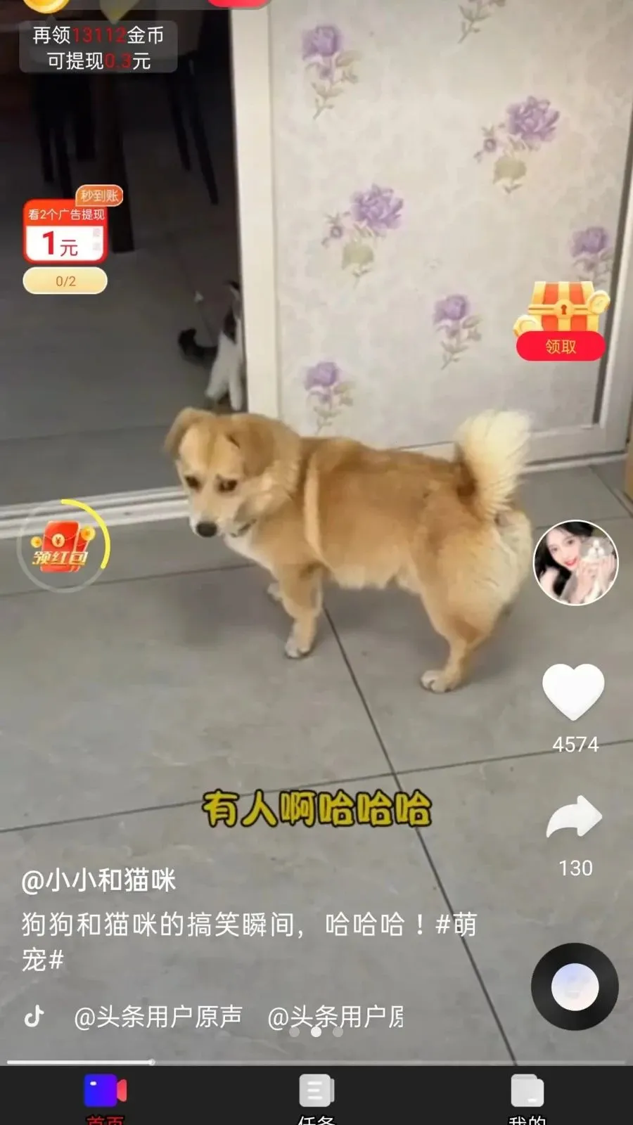 ��ӯ����(ˢ��ƵѰ��׬Ǯ)v1.0.1 �ٷ������ͼ
