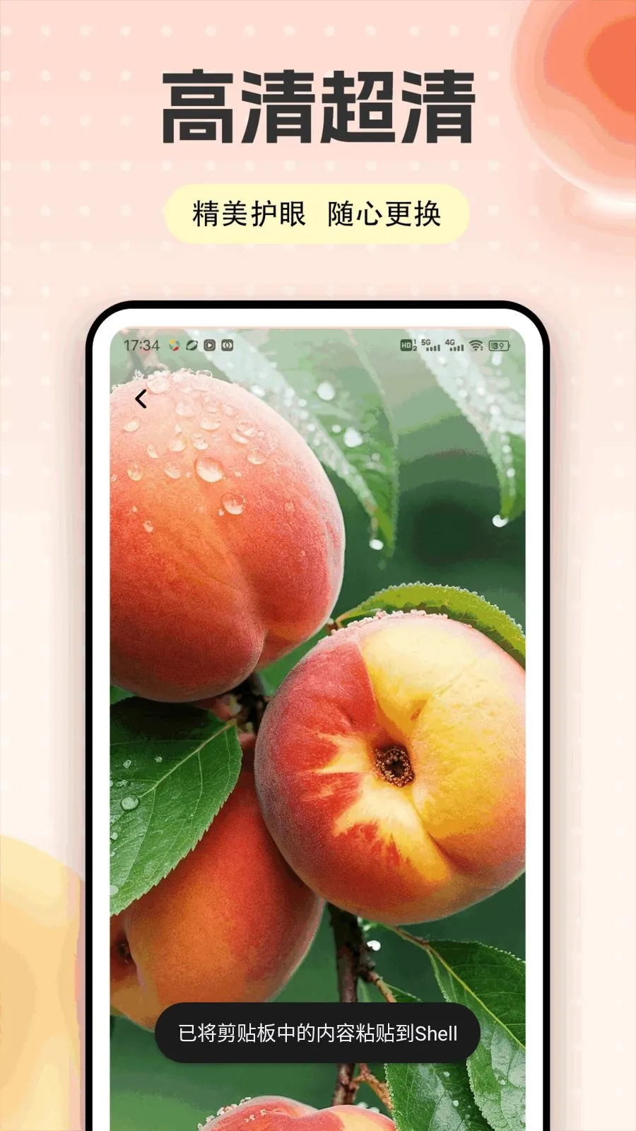 �Ҷ��ƽ̨2026���°汾v1.0.5 �ֻ����ͼ